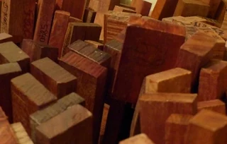 Tavolette e bacchette di legno per archi